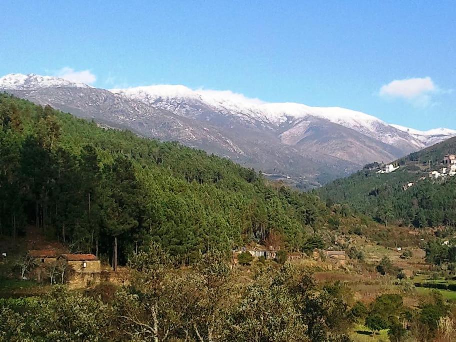 Aguincho Refugio Da Estrela 빌라 외부 사진